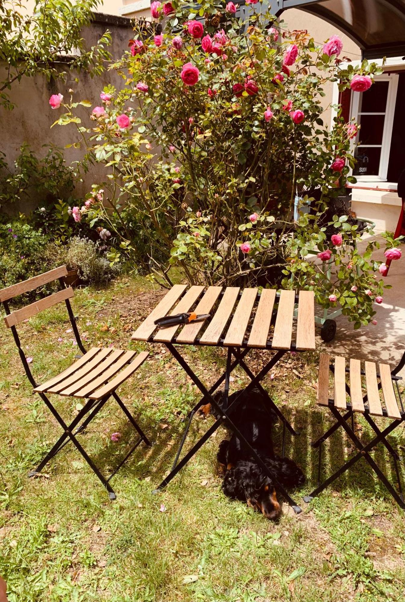 Ibis Rouge Villa Villars-les-Dombes Dış mekan fotoğraf
